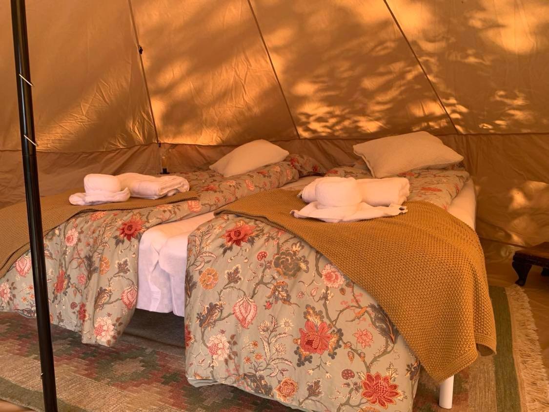 Glamping Mi Casa Tu Casadk Vissenbjerg Exterior foto